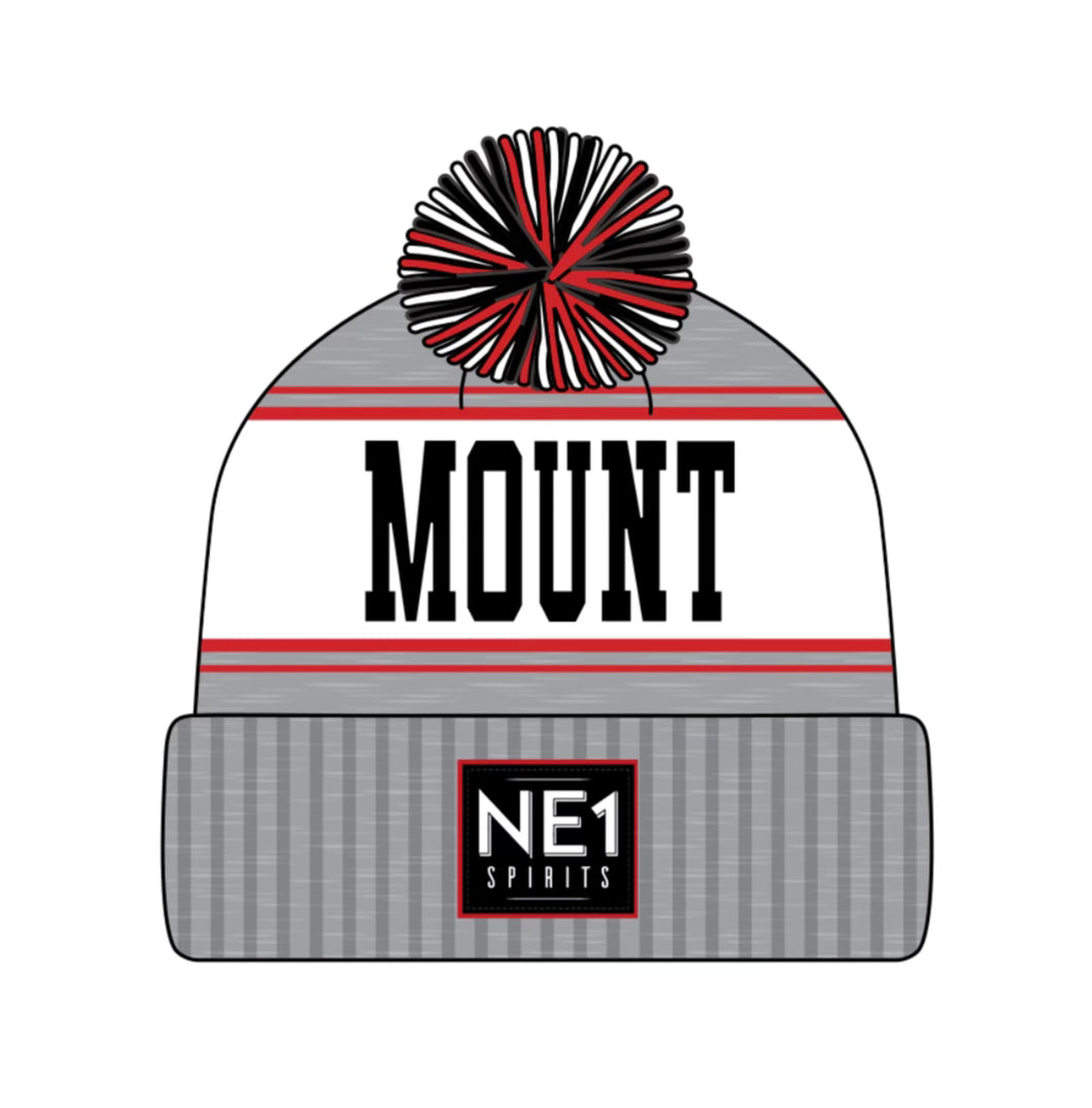 NE1 Toboggan Toque - Grey