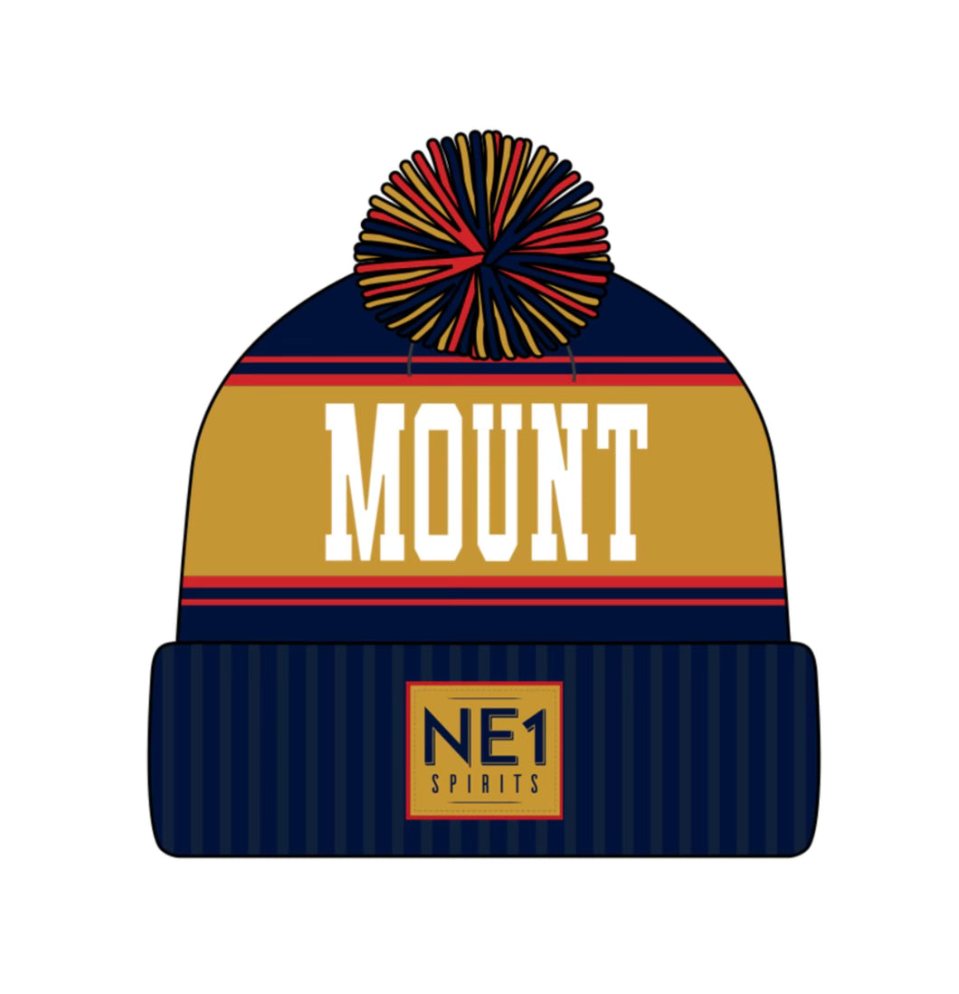 NE1 Toboggan Toque - Navy