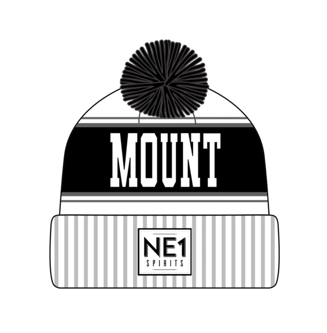 NE1 Toboggan Toque - White